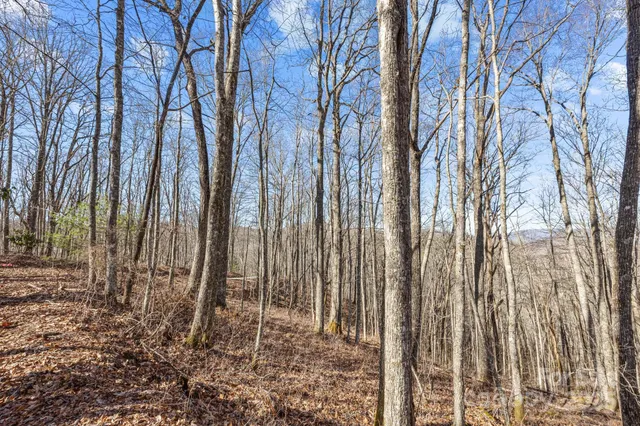 a view of outdoor space and garden
