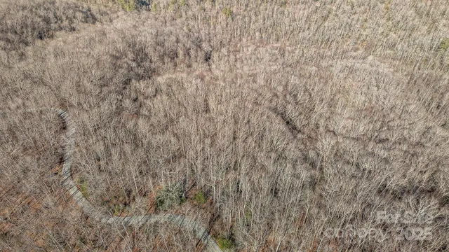 a view of a dry yard