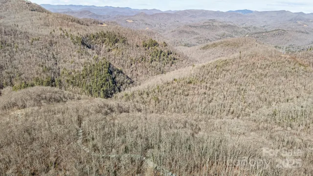 a view of mountain and trees
