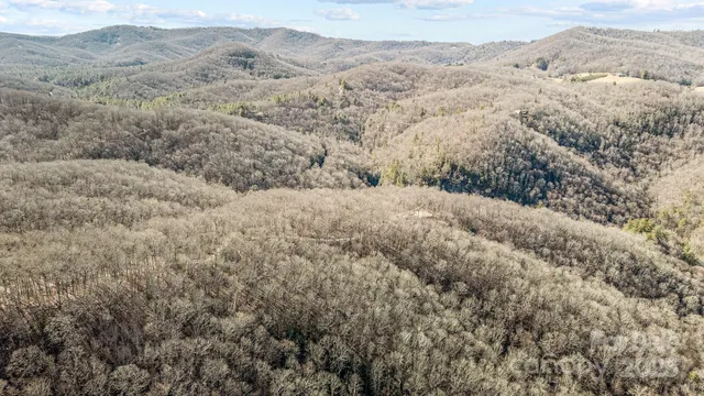 a view of a mountain range with trees in the background