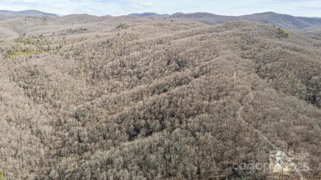 a view of a mountain range with trees in the background