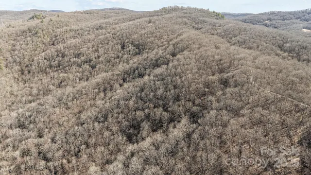 a view of a dry yard with mountains in the background