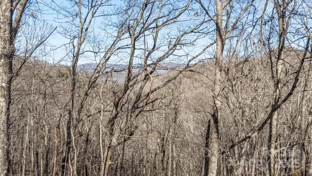 a backyard of a house with lots of trees