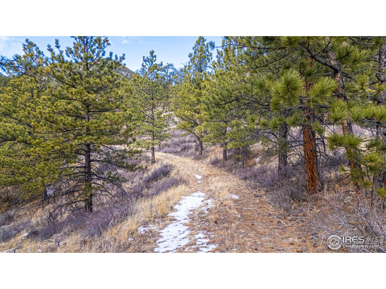 2127 Us Highway Drake, CO 80515 - Photo 18 of 34 a black and white photo of a house