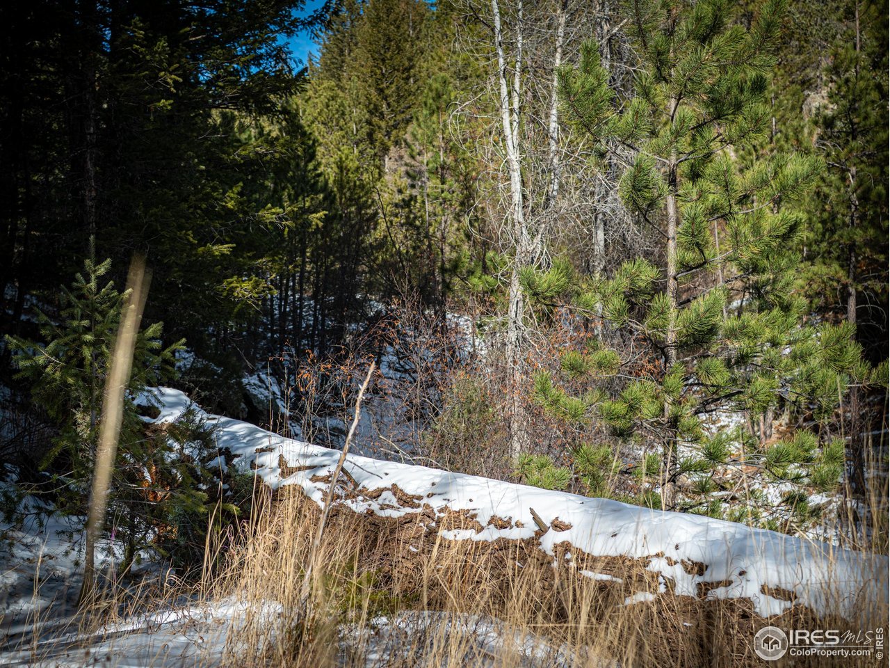 2127 Us Highway Drake, CO 80515 - Photo 25 of 34 a view of a wooden building with a tree