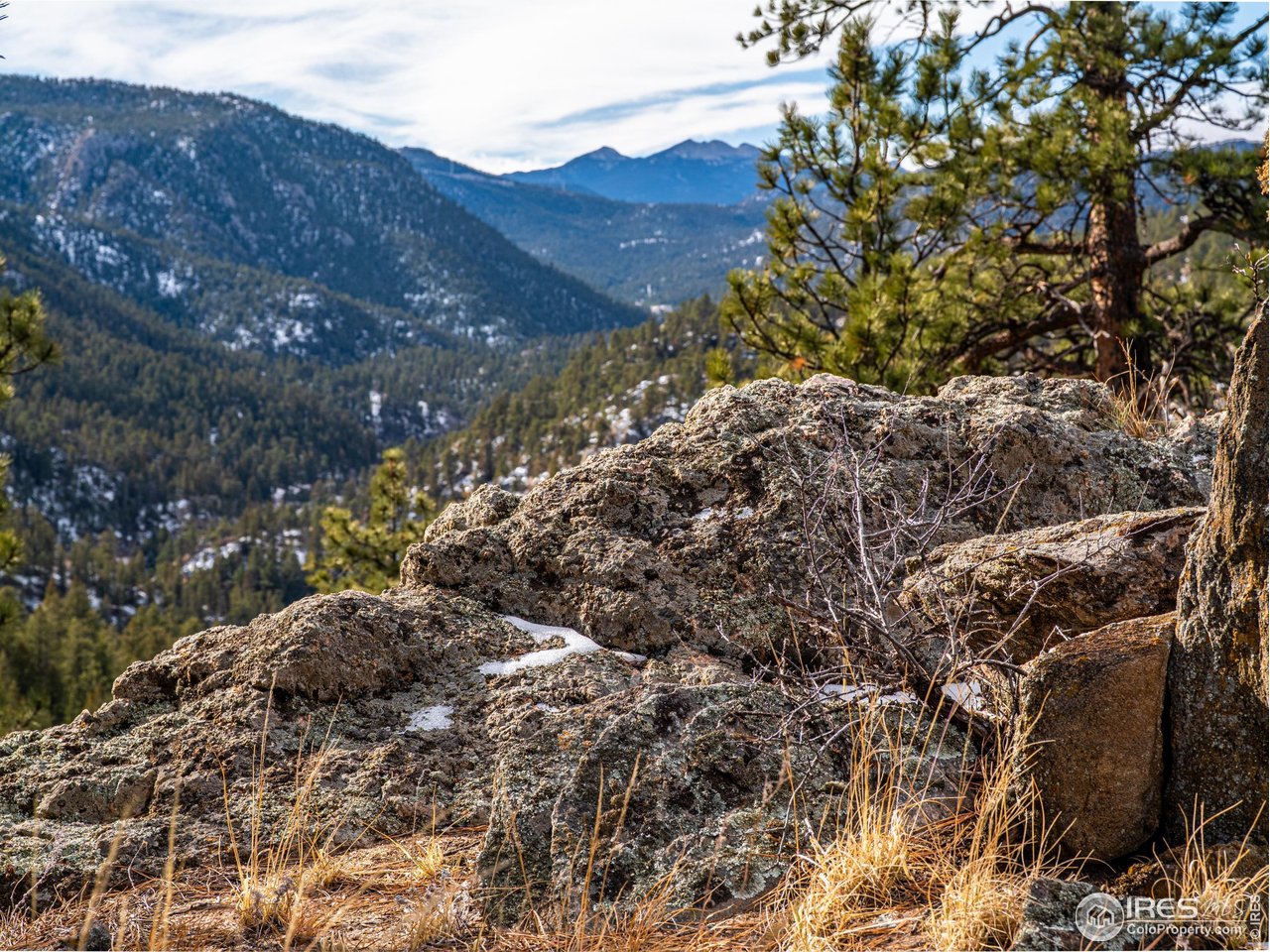 2127 Us Highway Drake, CO 80515 - Photo 27 of 34 a view of a tree