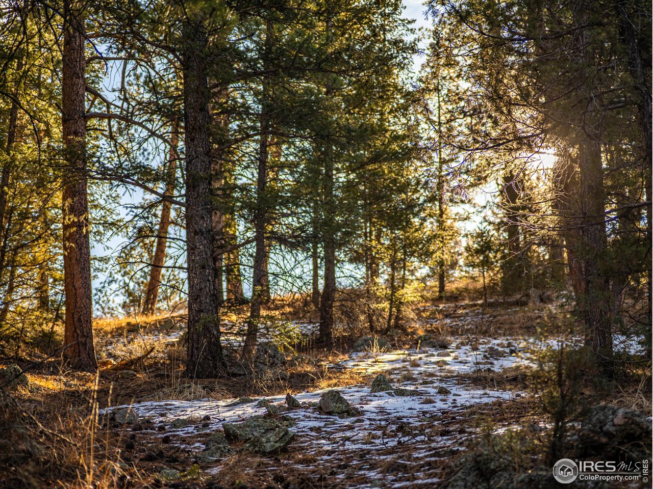 2127 Us Highway Drake, CO 80515 - Photo 28 of 34 a view of outdoor space with lots of trees