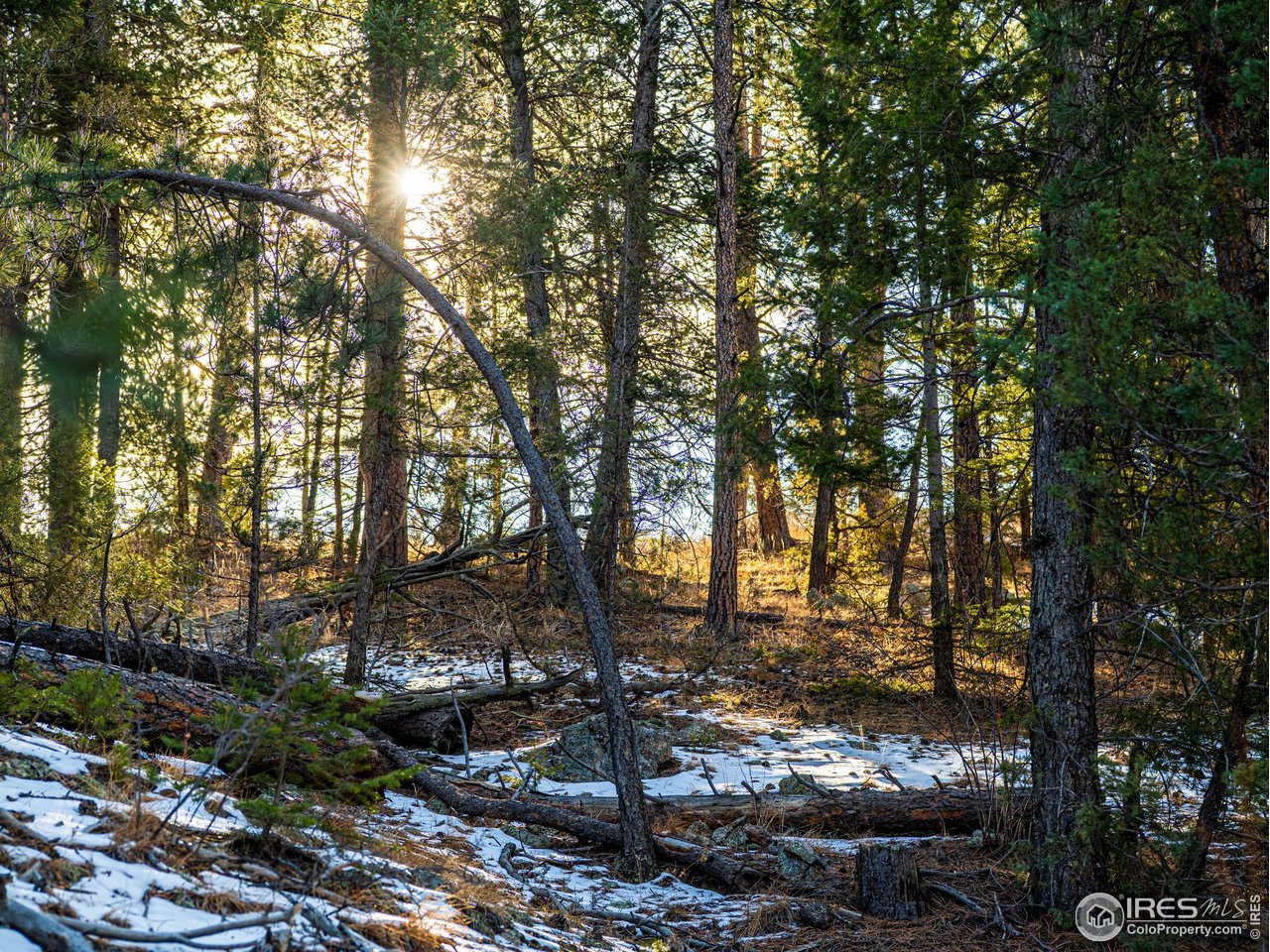 2127 Us Highway Drake, CO 80515 - Photo 30 of 34 a view of a tree with a yard