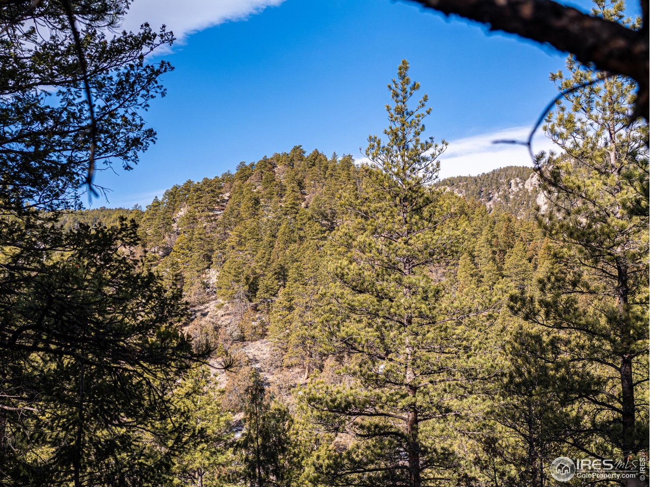 2127 Us Highway Drake, CO 80515 - Photo 32 of 34 a view of a tree in a yard