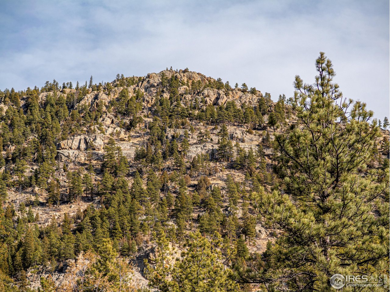 2127 Us Highway Drake, CO 80515 - Photo 33 of 34 a view of a large building