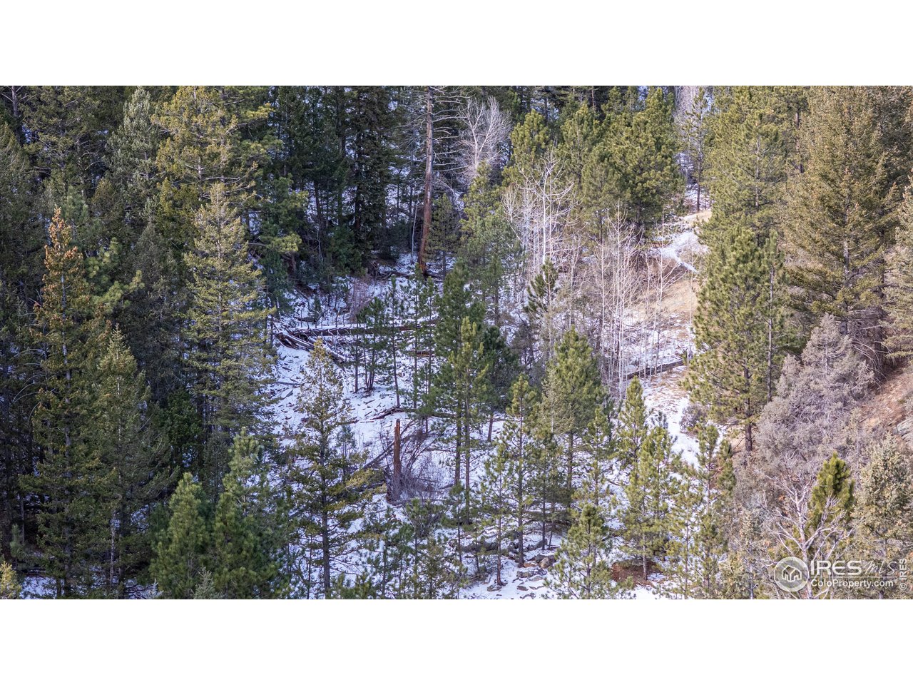 2127 Us Highway Drake, CO 80515 - Photo 5 of 34 a black and white photo of a house