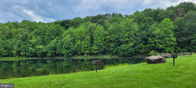 a view of a pathway both side of yard