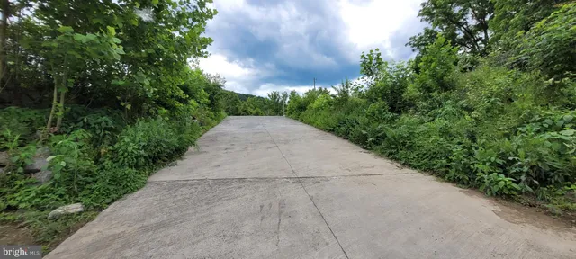 a view of a field of grass and trees