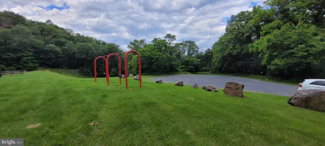 a view of a forest with trees in the background