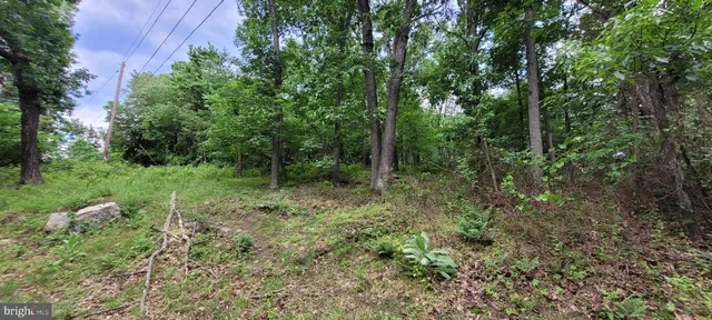 $37,500 | Kits Court, Front Royal, VA 22630