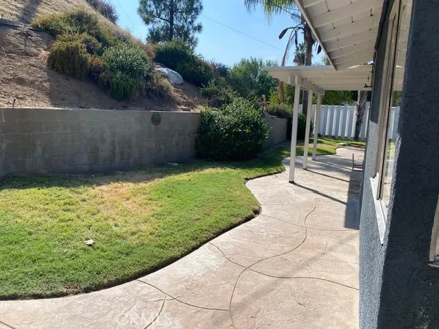a view of a backyard with plants