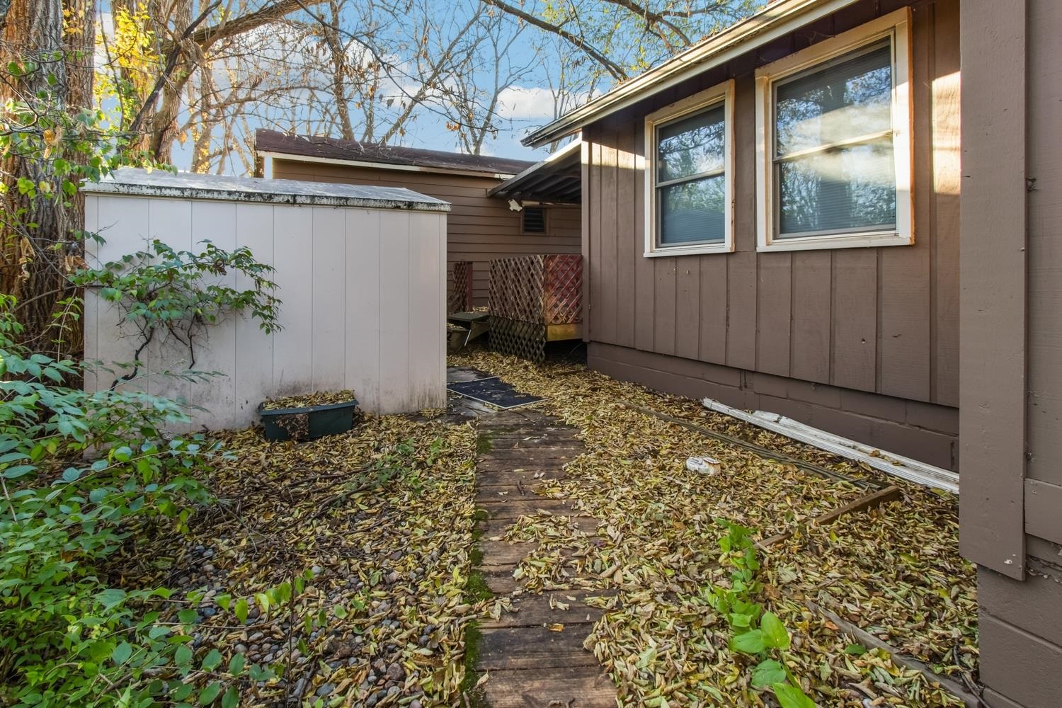 506 Eells Avenue Dixon, IL 61021 - Photo 17 of 19 a backyard of a house with lots of green space