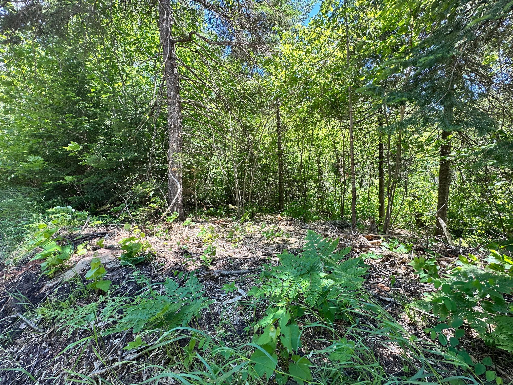 Tbd Kansas City Road Northeast Waskish, MN 56685 - Photo 10 of 16