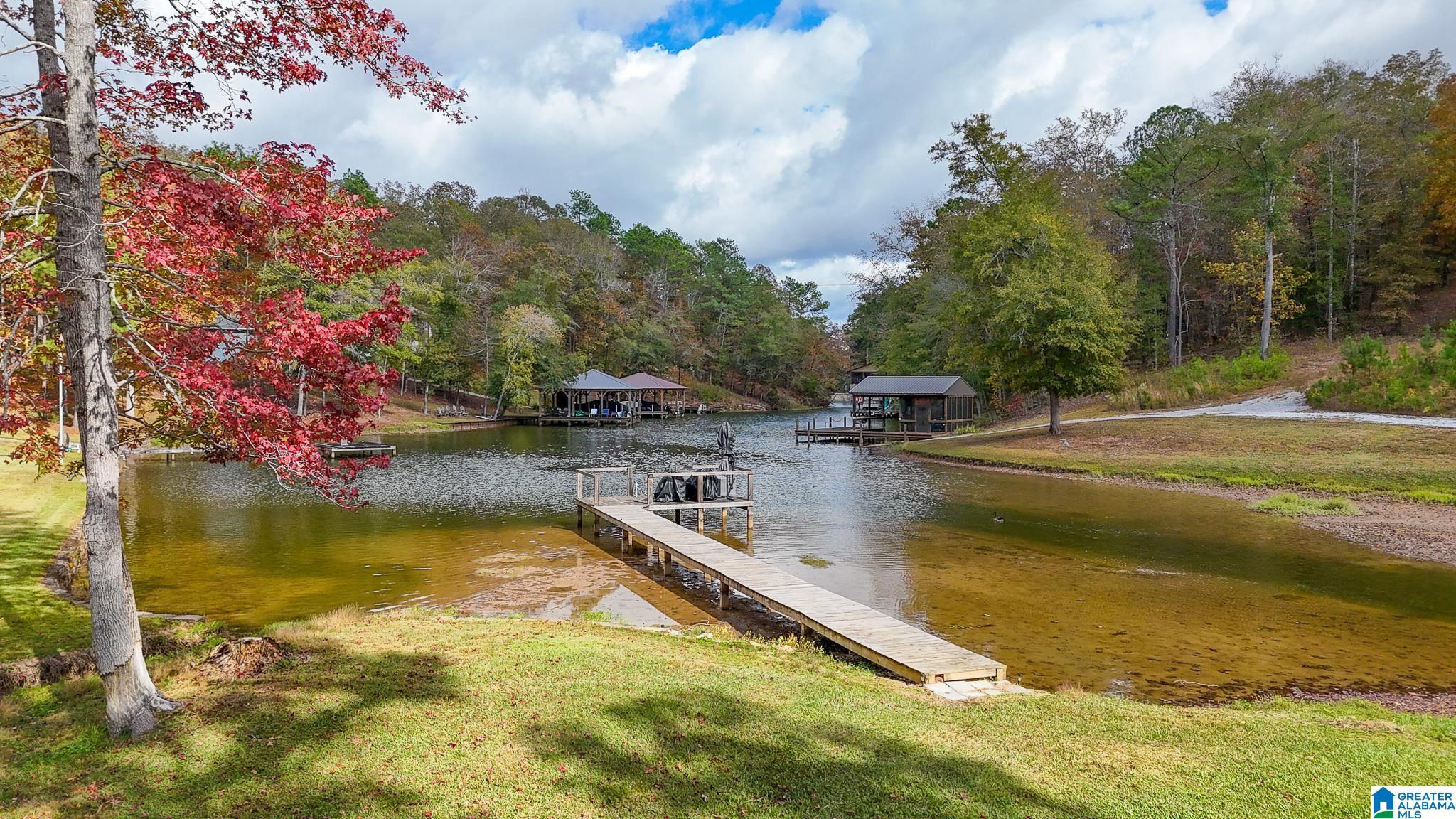 560 Davis Acres Drive Alpine, AL 35014 - Photo 1 of 9