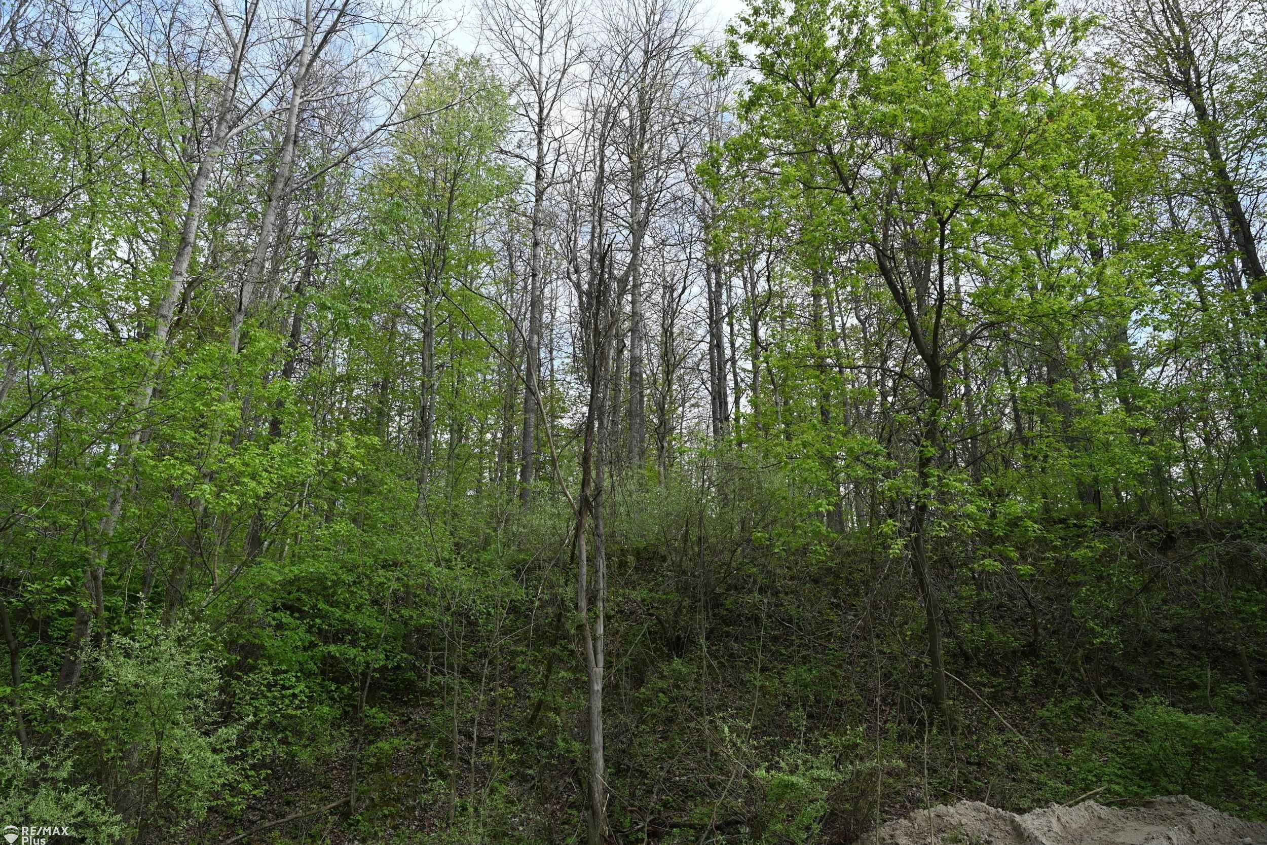 0 Miller Lake Road Columbiaville, MI 48421 - Photo 20 of 33
