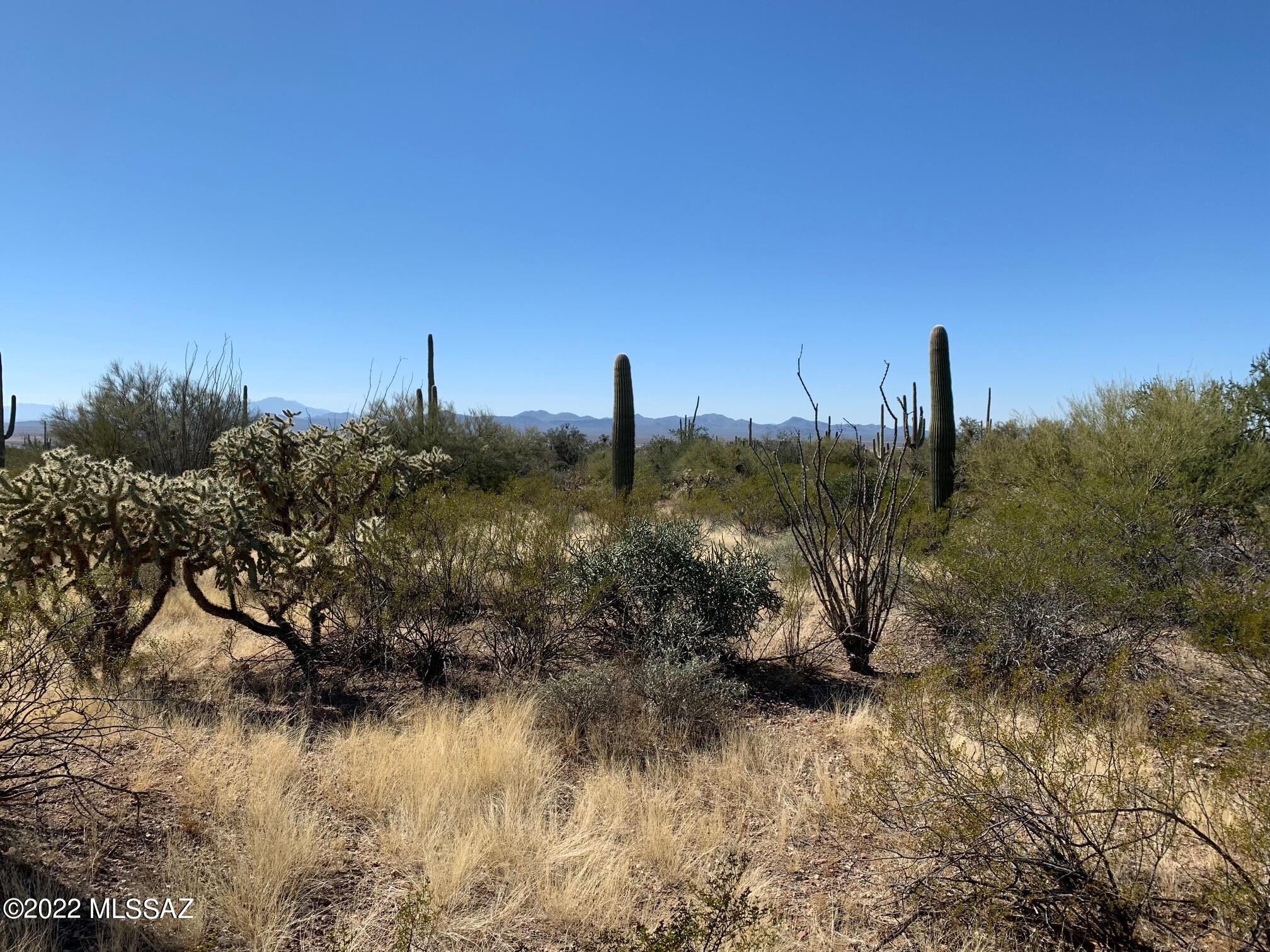 19-acres West Mile Wide Road, Unit B Tucson, AZ 85743 - Photo 12 of 19