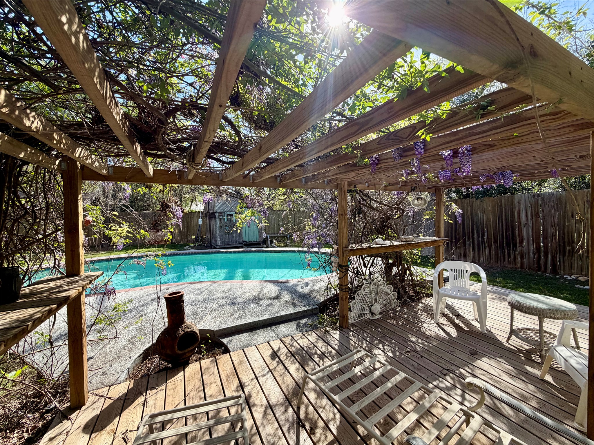 301 Sheraton Avenue Austin, TX 78745 - Photo 6 of 27 Shaded pergola covered in glorious purple Wisteria.