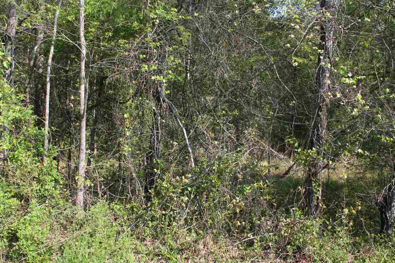 2 Rhonda Road Campobello, SC 29322 - Photo 4 of 8