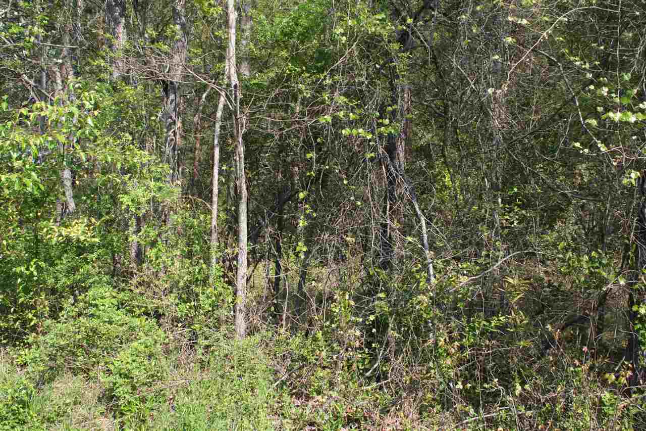 2 Rhonda Road Campobello, SC 29322 - Photo 5 of 8
