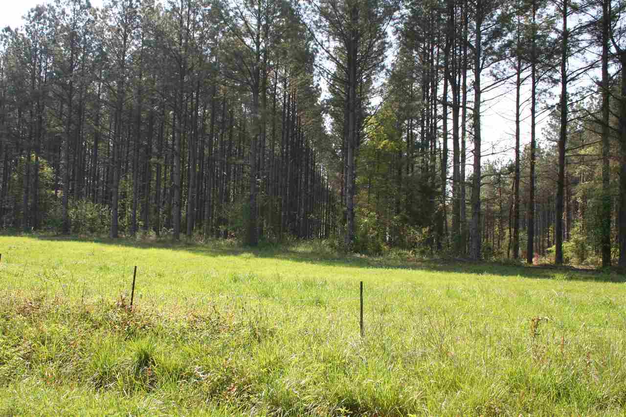 2 Rhonda Road Campobello, SC 29322 - Photo 6 of 8