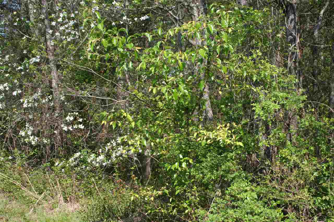 2 Rhonda Road Campobello, SC 29322 - Photo 8 of 8