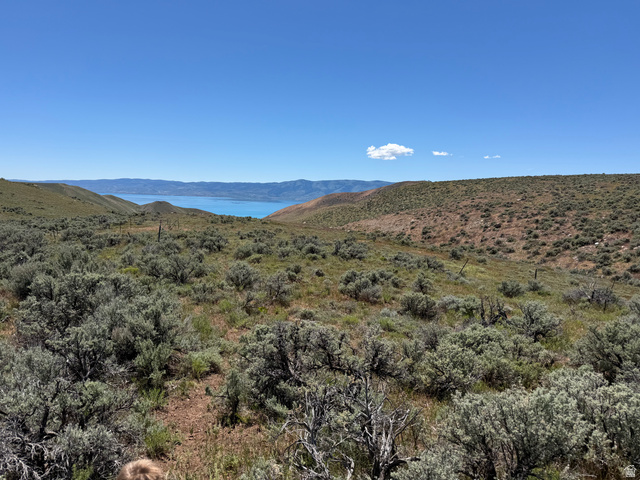 Mud Springs St. Charles, ID 83272 - Photo 14 of 29