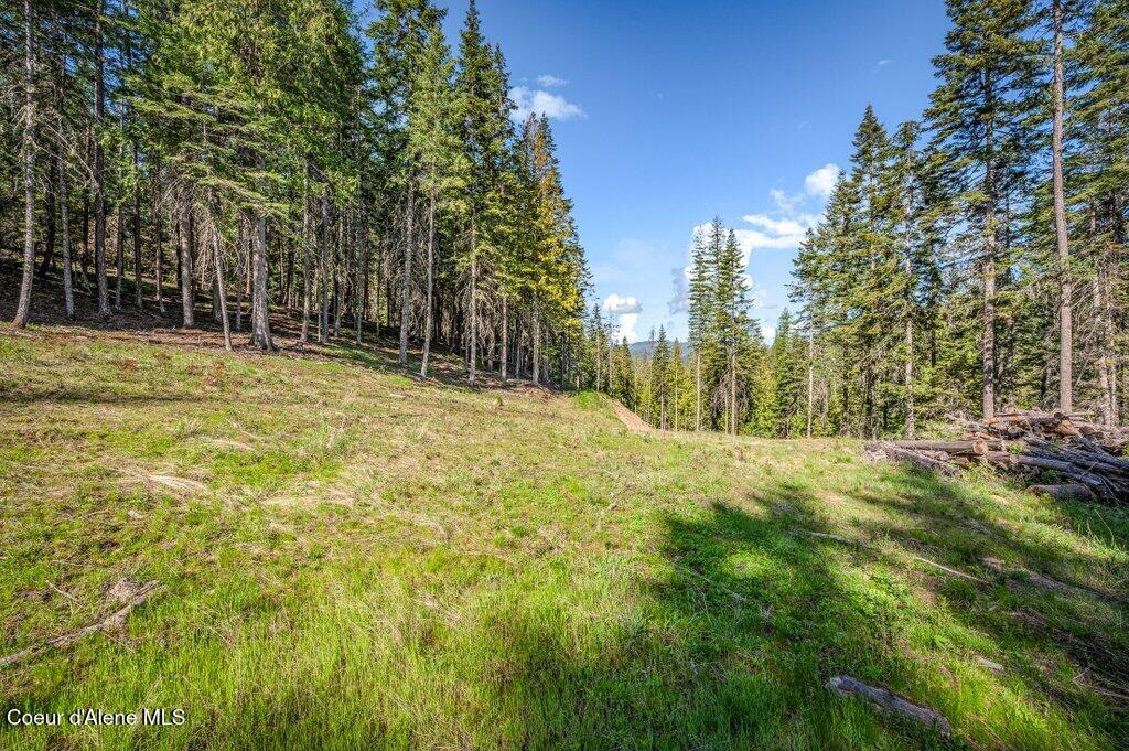 Nka East Burma Road Harrison, ID 83833 - Photo 11 of 51 Upper building site