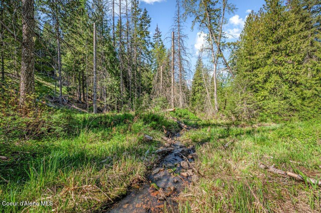 Nka East Burma Road Harrison, ID 83833 - Photo 17 of 51 Seasonal Creek