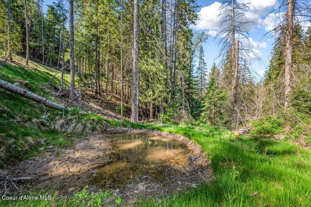 Nka East Burma Road Harrison, ID 83833 - Photo 18 of 51 Elk Wallow