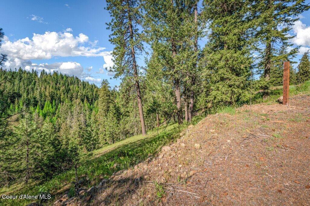 Nka East Burma Road Harrison, ID 83833 - Photo 4 of 51 NKA E Burma Rd 19 acres
