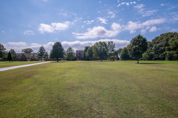 7741 Brunswick Road Millington, TN 38053 - Photo 3 of 25