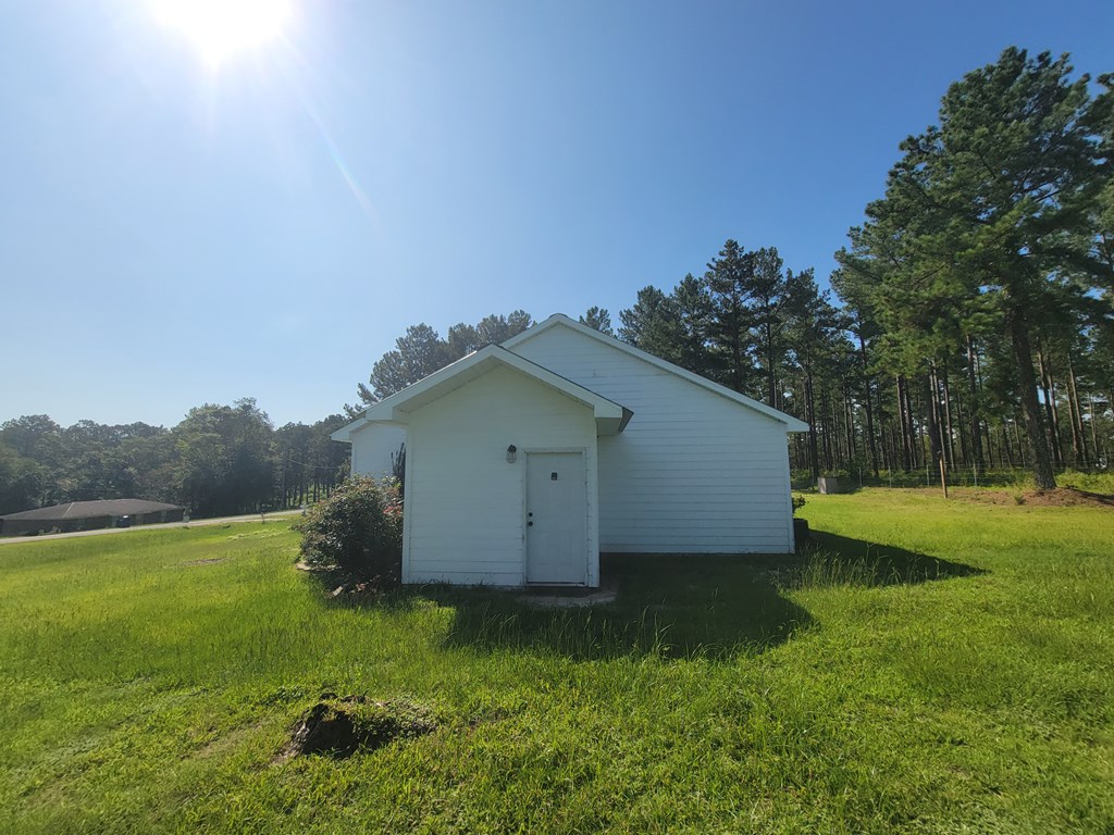 952 Easterlings Mill Road Ariton, AL 36311 - Photo 8 of 29