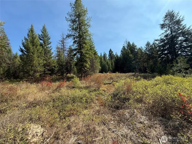 a view of a snow with a yard