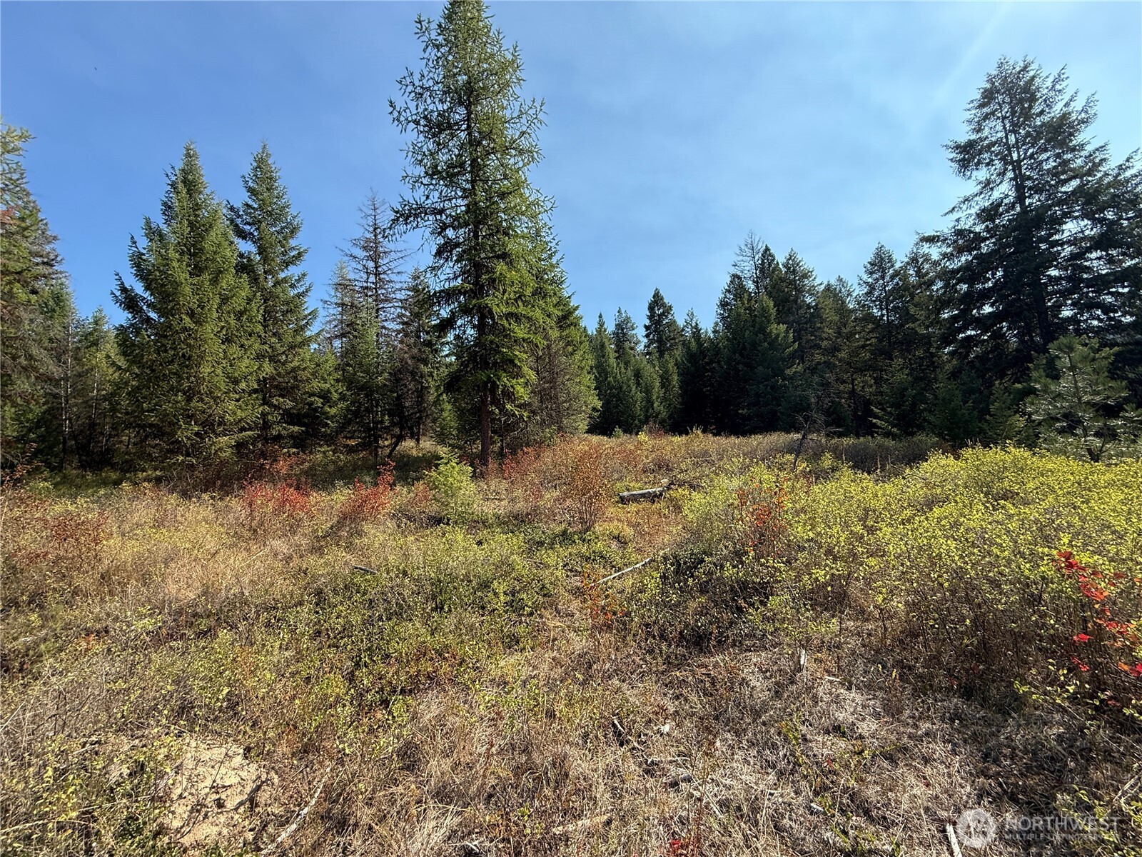 0 St Peters Creek Road Malo, WA 99150 - Photo 11 of 17 a view of a snow with a yard