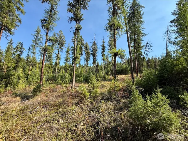 a view of outdoor space and trees