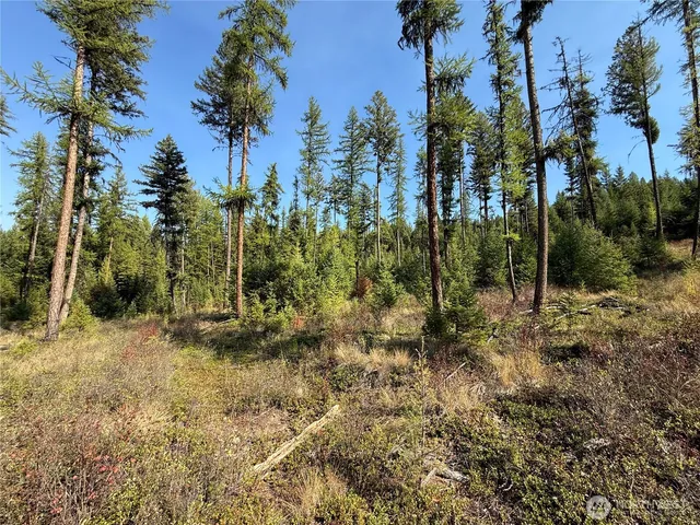 a view of outdoor space and trees