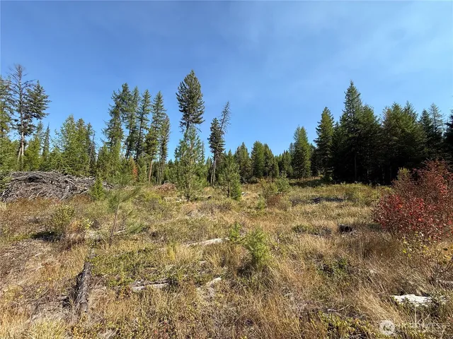 a view of a yard with trees in the background