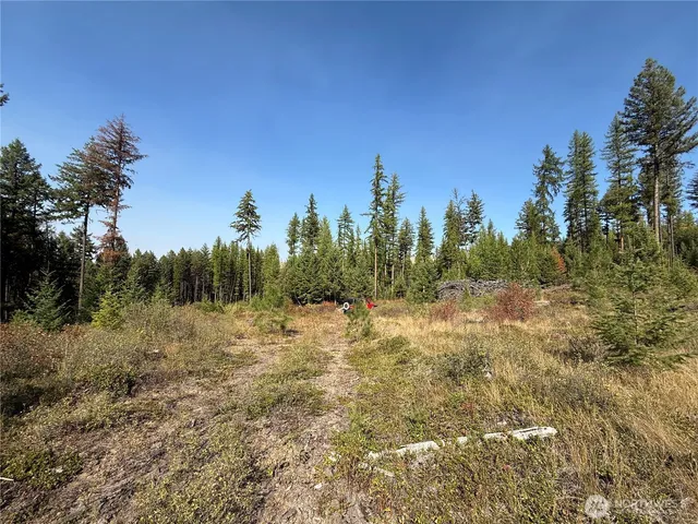 a view of a yard with trees in the background