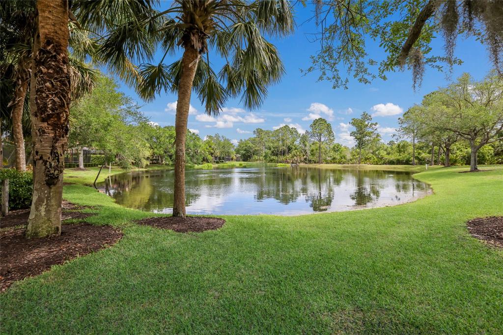 11709 Strandhill Court Lakewood Ranch, FL 34202 - Photo 3 of 51 a view of a lake with a big yard and palm trees
