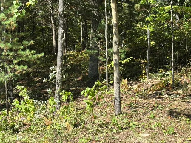 $34,200 | 704 5th Street South, Walker, MN 56484