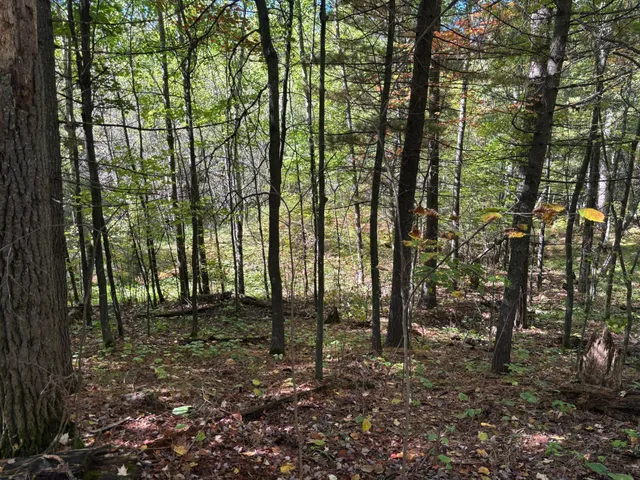 $34,200 | 704 5th Street South, Walker, MN 56484