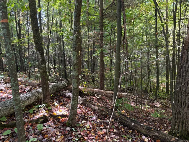 $34,200 | 704 5th Street South, Walker, MN 56484