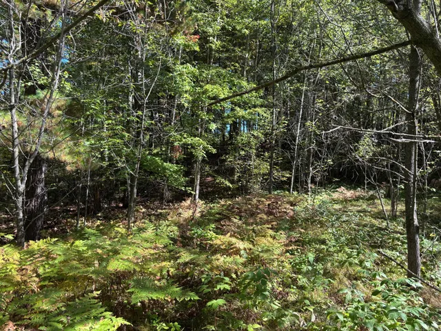 $34,200 | 704 5th Street South, Walker, MN 56484