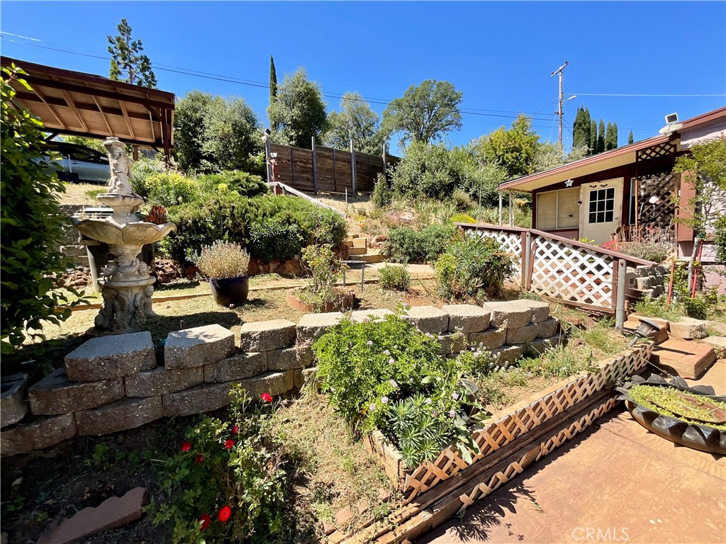 7282 Marin Street Nice, CA 95464 - Photo 44 of 69 a view of a backyard with plants