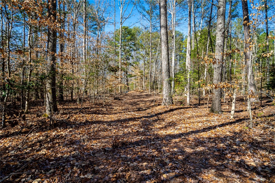 242 Guthrie Road Belton, SC 29627 - Photo 3 of 14 Gallery Image 3